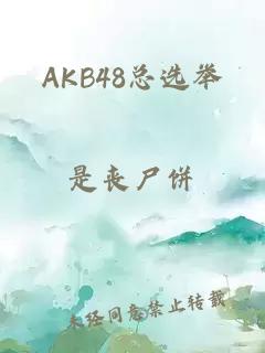AKB48总选举