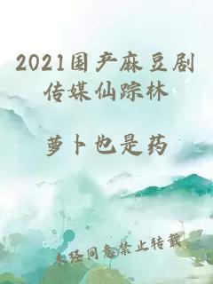 2021国产麻豆剧传媒仙踪林