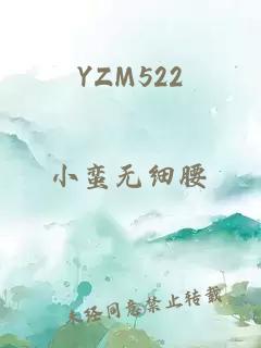 YZM522