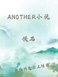 ANOTHER小说