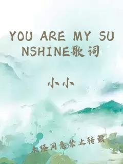 YOU ARE MY SUNSHINE歌词