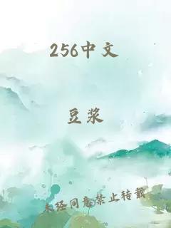 256中文