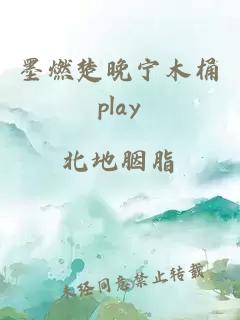 墨燃楚晚宁木桶play